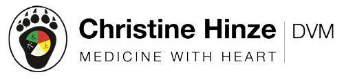 Christine Hinze logo